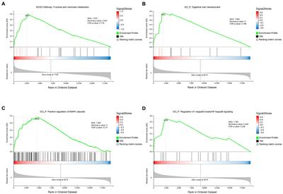 An integrated transcriptome and microbial community analysis reveals potential mechanisms for increased immune responses when replacing silybum marianum meal with soybean meal in growing lambs